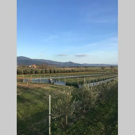 Casale Me